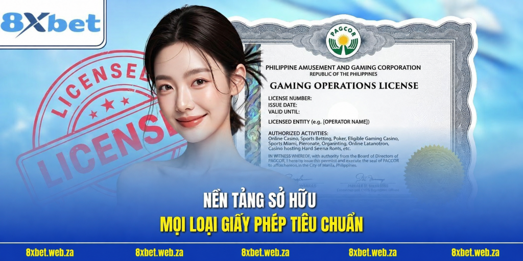 nền tảng sở hữu mọi loại giấy phép tiêu chuẩn